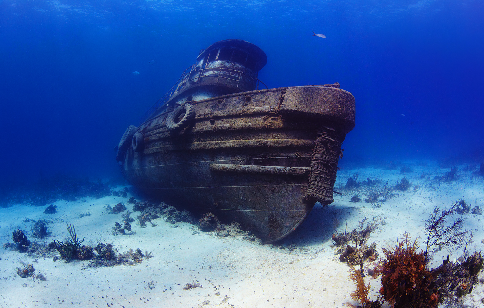 Bahamashipwreck